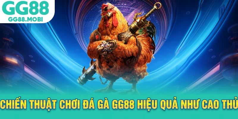 Chiến thuật chơi đá gà GG88 hiệu quả như cao thủ