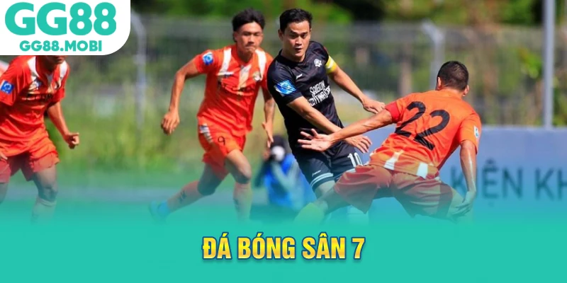 bóng đá sân 7